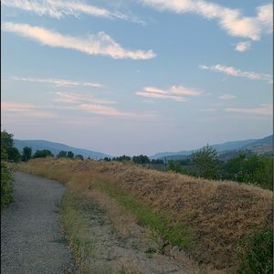 Meet your Posher, Lily